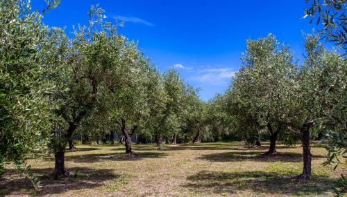 Ortona Casa | Casa Vacanze Punta Ferruccio