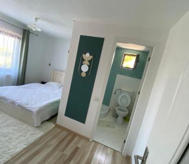 Tohanu Nou Casa | Casa Valex