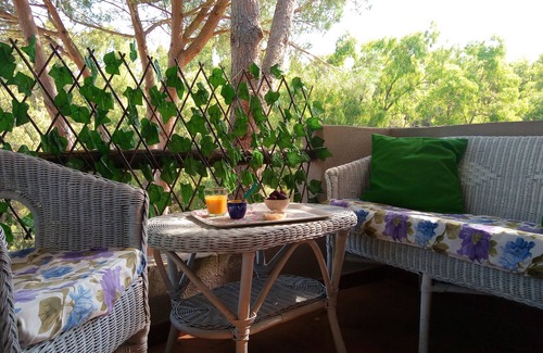 Narbolia Casa | Casa Verdina en Pineta