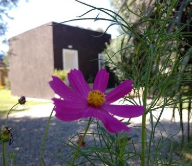 Carpinteria Casa | Casa Villa Alba Carpinteria