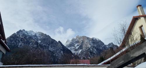 Busteni Apartamento | Casa Vio