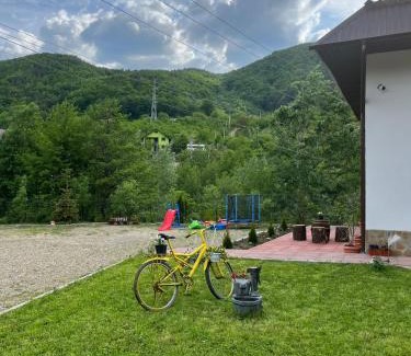 Nehoiu Casa | Casa Vio