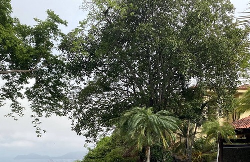 Panama Beach Cama Y Desayuno | Casa Vistas del Pacifico