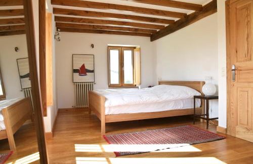 Canedo Casa | Casa Xabú