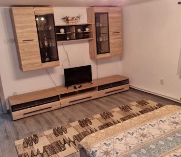 Sarmizegetusa Casa | Casa YMY