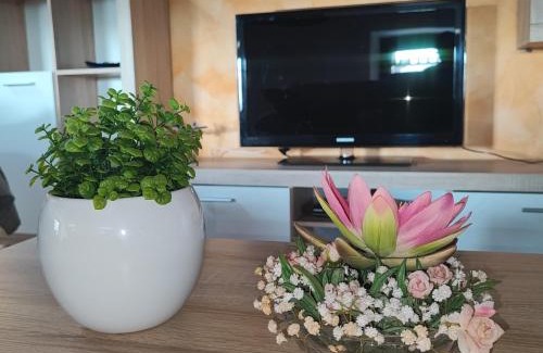 Aviano Apartamento | Casa Zanier Aviano