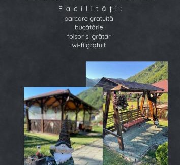 Sugag Casa | Casa Zorilor