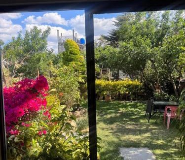 De Guadalupe Casa | Casa79sancris