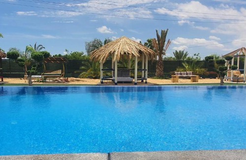 Elche Casa | casadelfenix