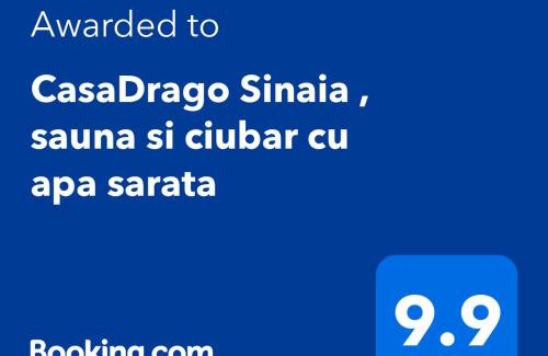 Sinaia Casa | CasaDrago Sinaia , sauna si ciubar cu apa sarata