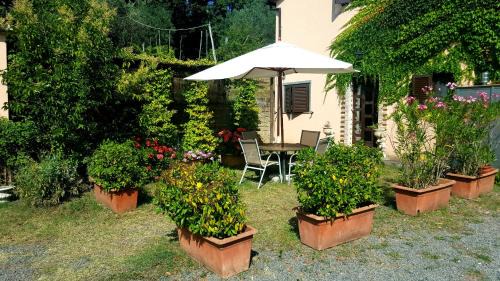 Bolsena Apartamento | Casale Citerno