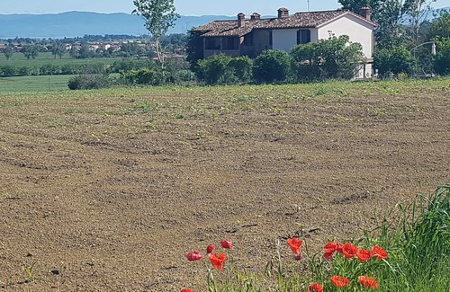 Panicale Villa | Casale Rosie '3 DORMITORIOS + 4 BAÑOS COMPLETOS + WIFI + PISCINA PRIVADA