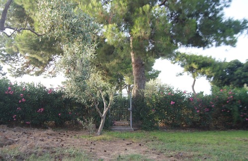 Contrada Pantano d'Arci Casa | CASALE ULIVETO DA VALERIA, UN OASIS VERDE CON PISCINA Y DOS PASOS DEL MAR