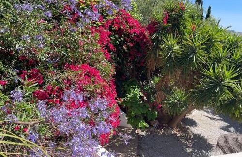 Nerja Casa | Casandalusí