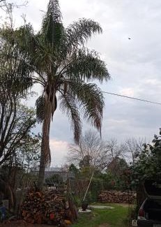 San Javier Apartamento | Casanuestra