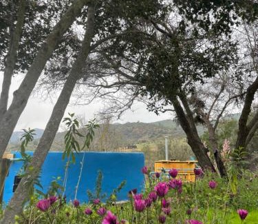 Casablanca Casa | Casapangue