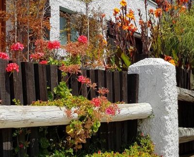 Papudo Casa | Casapapudo Boutique Suites