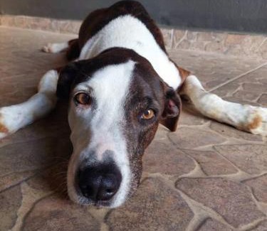 Barra Velha Casa | casapraia docanto