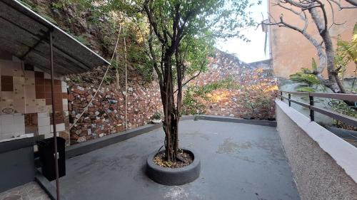 Santa Teresa Villa | Casarão com amplo quintal, a paz ao lado do Centro