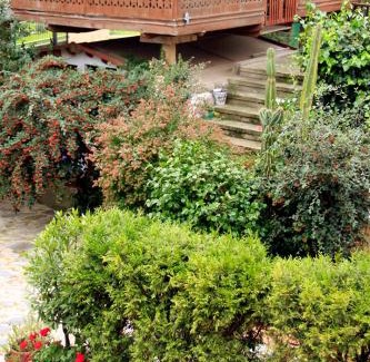 Cardo Casa | Casas Rurales Pradina I y II