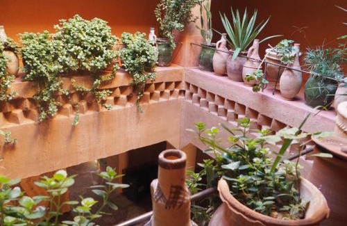 Boumalne Dades Casa | Casbah d'hôte La Jeanne Tourisme Ecologique