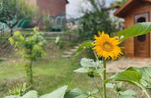 Briccarello Apartamento | Cascina Il Girasole Rosso
