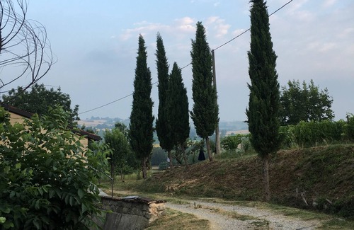 Vignale Monferrato Apartamento | Cascina Intersenga Winery - "Alloggio della Libertà"