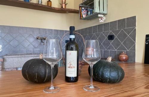 Vanara Casa | Cascina Teresina Monferrato Piscina