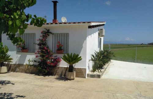 Deltebre Casa | Caseta del Chato