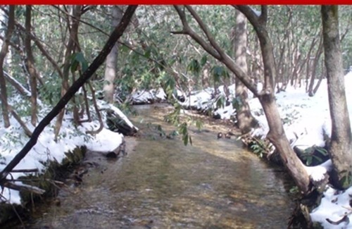 Sapphire Cabaña | Cajeros - Lonesome Valley - Streamside Cottage en 800 acres