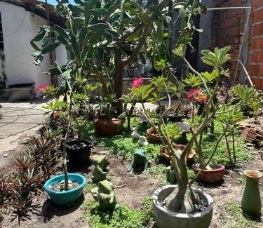 Tutoia Casa | Casinha da vovó