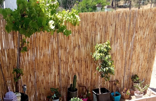 Valverde del Camino Casa | Casita de campo encantadora