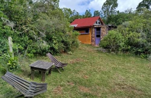 Maldonado Otro | Casita del bosque Tao sierras de Aiguá