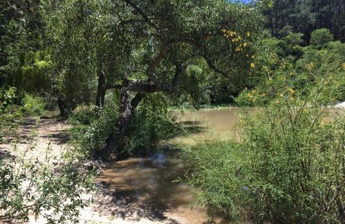 Playa Santa Ana Casa | Casita Ecológica en el Bosque