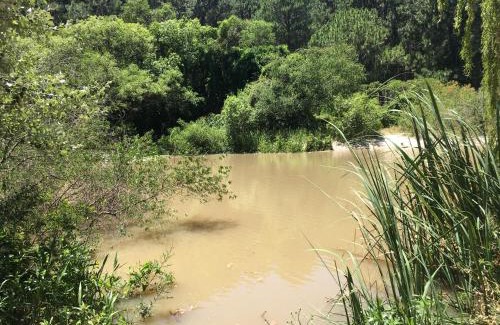 Playa Santa Ana Casa | Casita Ecológica en el Bosque