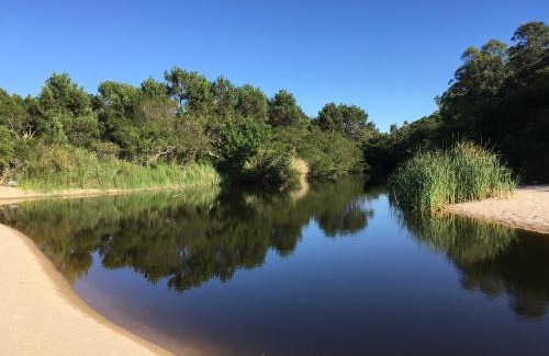 Playa Santa Ana Casa | Casita Ecológica en el Bosque