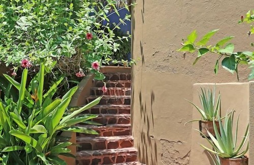 North End Casa | "Casita La Palmita" (Little Palm) 1 Bed / 1 Bath