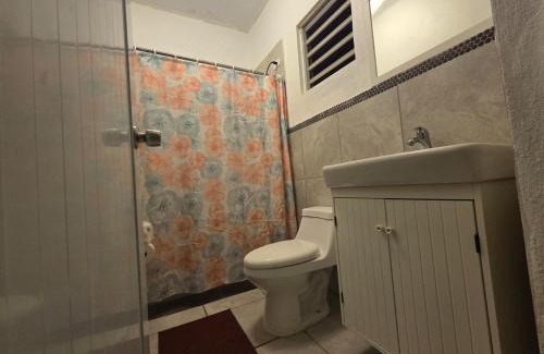 Arecibo Pueblo Apartamento | Casita Linda