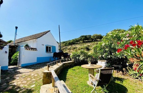Facinas Cabaña | Casita Poniente, ¡en plena naturaleza y a 10 minutos de la playa de Bolonia!
