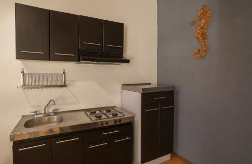 La Paz Casa | Casita Tiburón