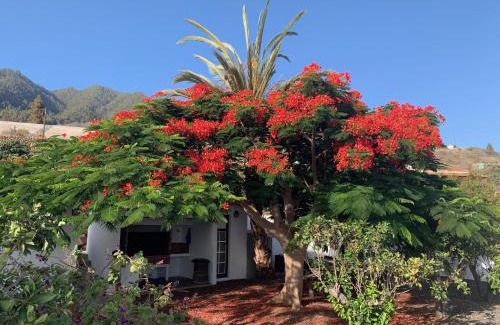 El Paso Apartamento | Casitas Rosheli
