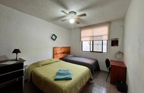 Leon Centro Casa | Casona Luciérnaga-Casa de Huéspedes