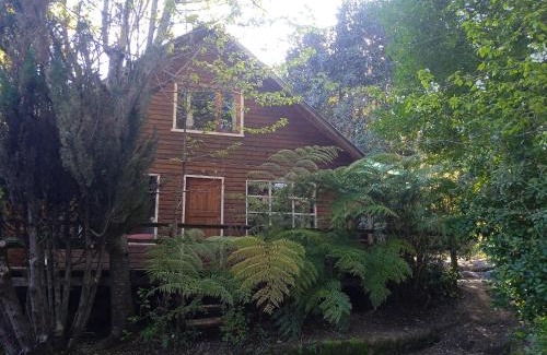 Pucon Casa | Casona suyai caburgua