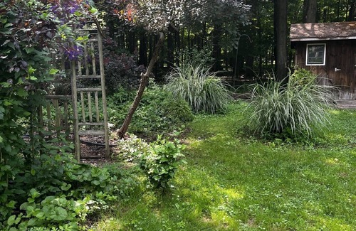 Lily Dale Cabaña | Cassadaga cottage in the woods
