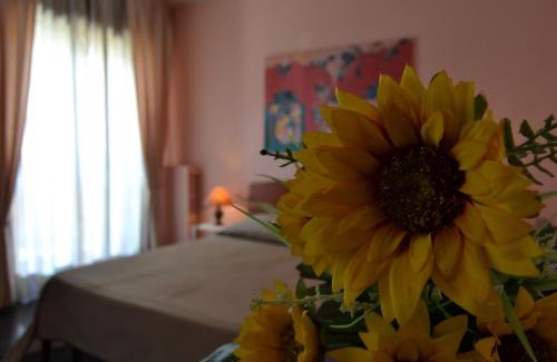 Catanzaro Casa | Cassiodoro Rooms Affittacamere