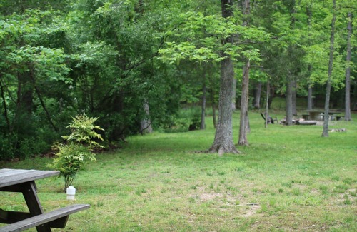 Luray Cabina | Cast Away Cabin
