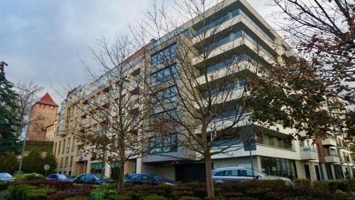 Brzezinka Apartamento | Castle Apartments - King