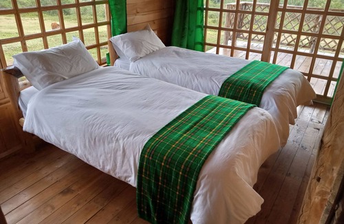 Kimunye Cabina | Castle Forest Lodge