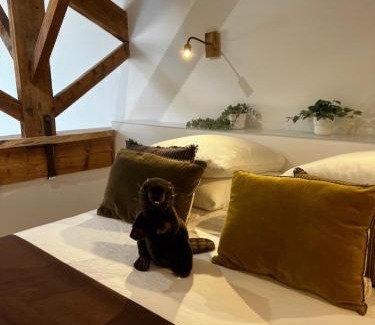 Aubagne Apartamento | Castor Coquin Aubagne Cassis Aix en Provence