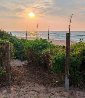 Ezembeni Apartamento | Casuarina Cabin